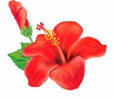 imagesa